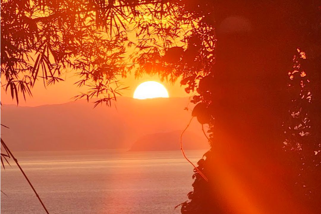 casadabaiana-site2area-externa-06