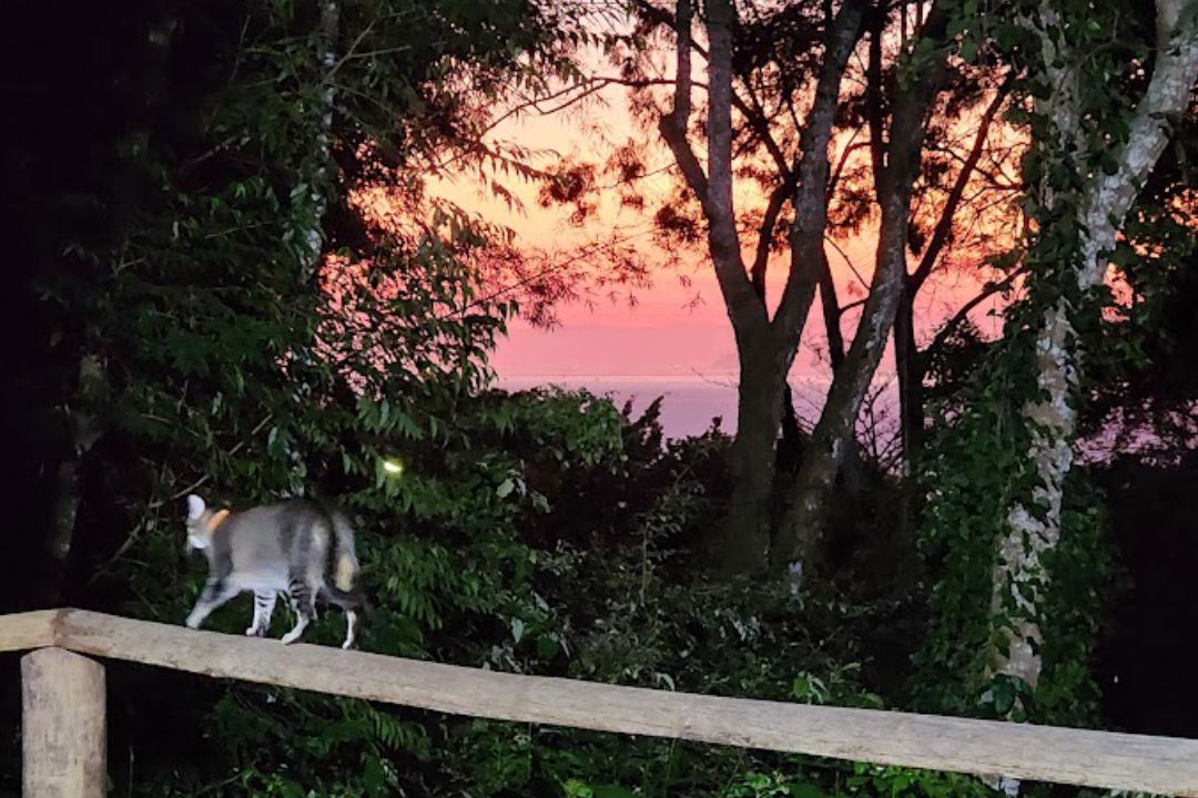 casadabaiana-site2area-externa-07