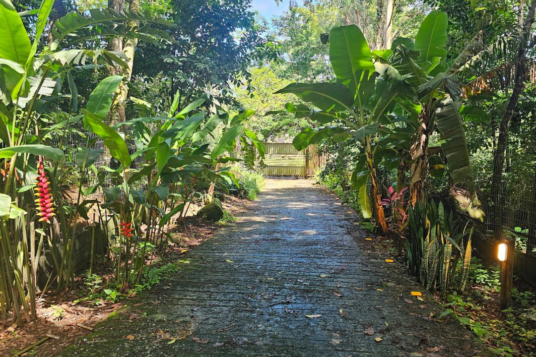 casadabaiana-site2area-natureza-08