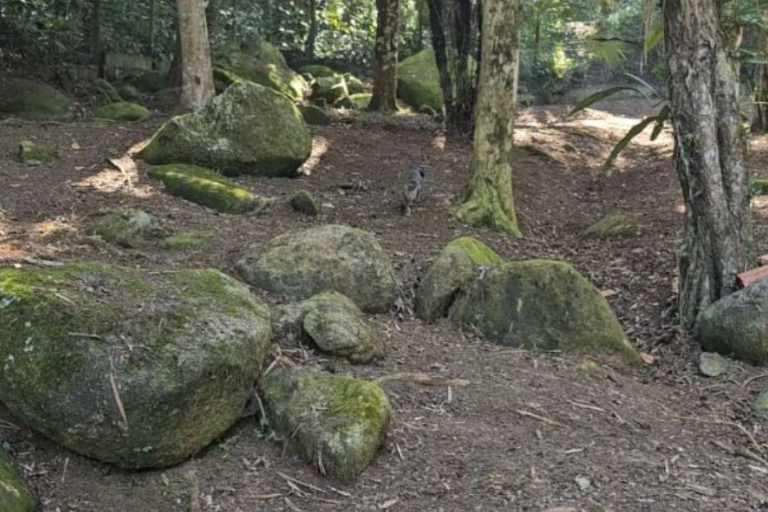 casadabaiana-site2area-natureza-09